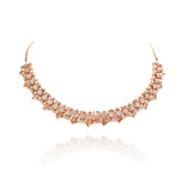 Adisha Champagne AD Set - The Pashm